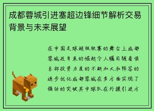 成都蓉城引进塞超边锋细节解析交易背景与未来展望 成都蓉城引进塞超边锋细节解析交易背景与未来展望